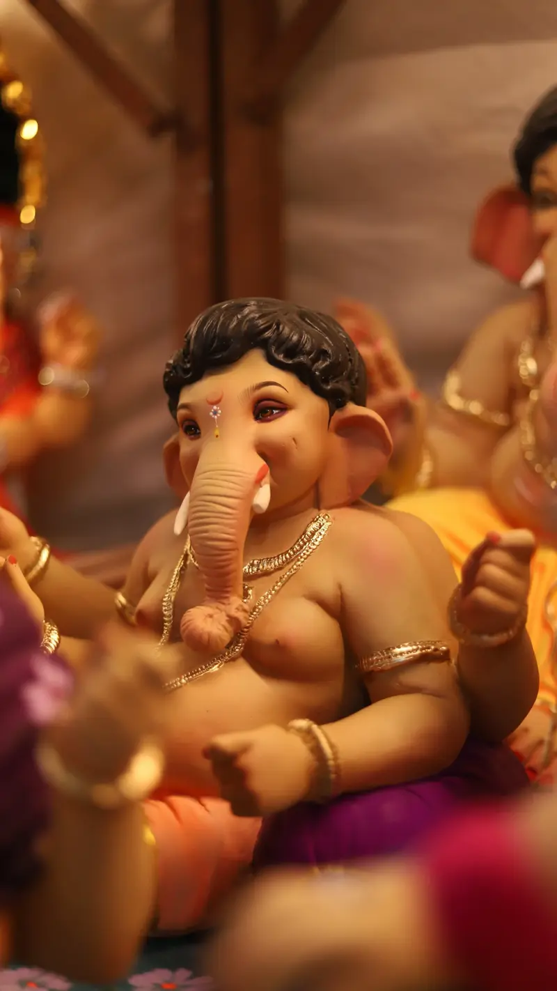 Main Banner Image 1